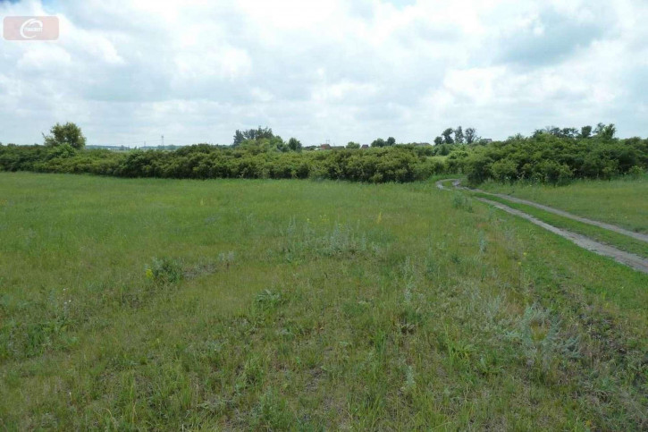 Земельный участок Луговая ул, Земельный участок Луговая ул,