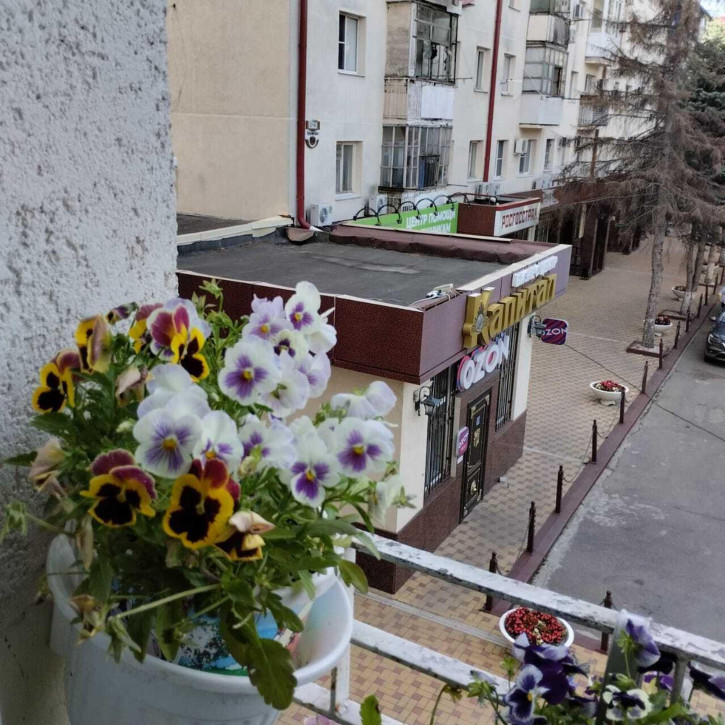Студия Крымская улица, 218