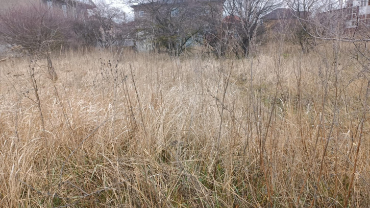 Земельный участок село Витязево