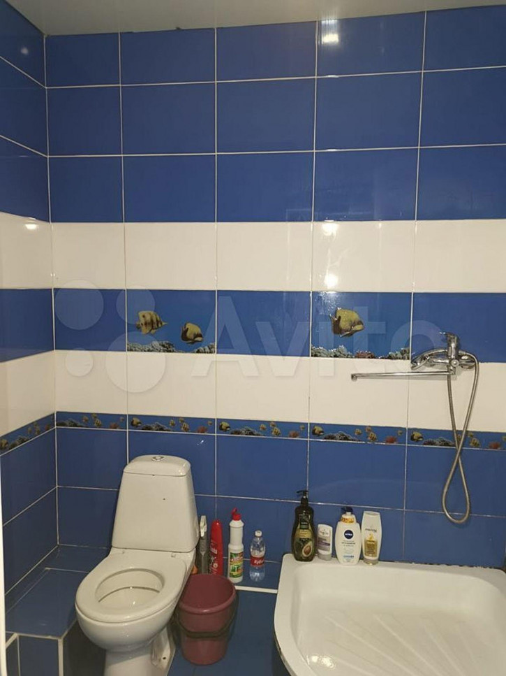 Студия улица Кати Соловьяновой, 286