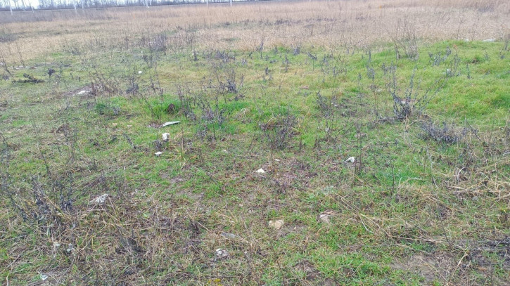 Земельный участок село Витязево