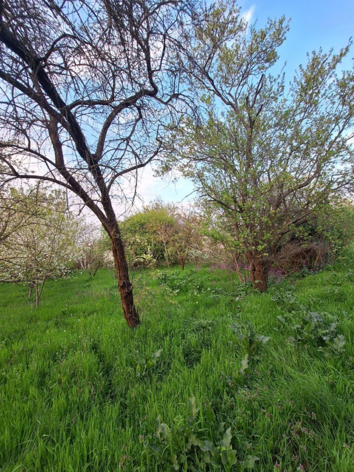 Земельный участок СОТ Ягодка Земельный участок СОТ Ягодка