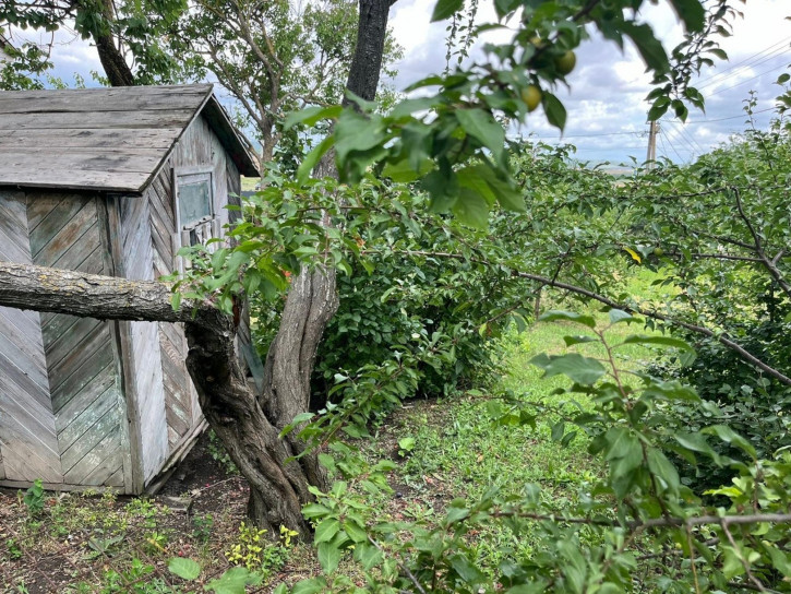 Земельный участок садоводческое некоммерческое товарищество Здоровье