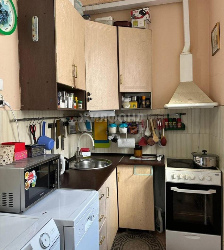 2-комн квартира Добролюбова, 241