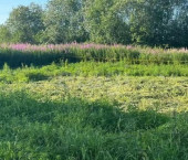 земля 15 сот посёлок Майский, 2946