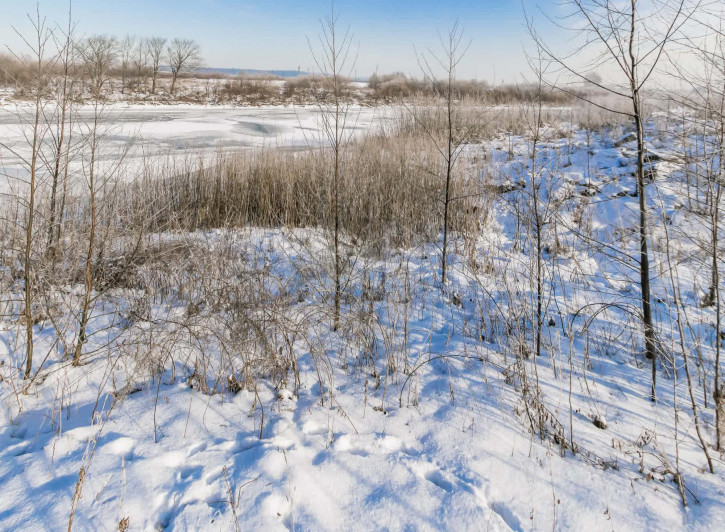Земельный участок улица Александра Клубова, 84