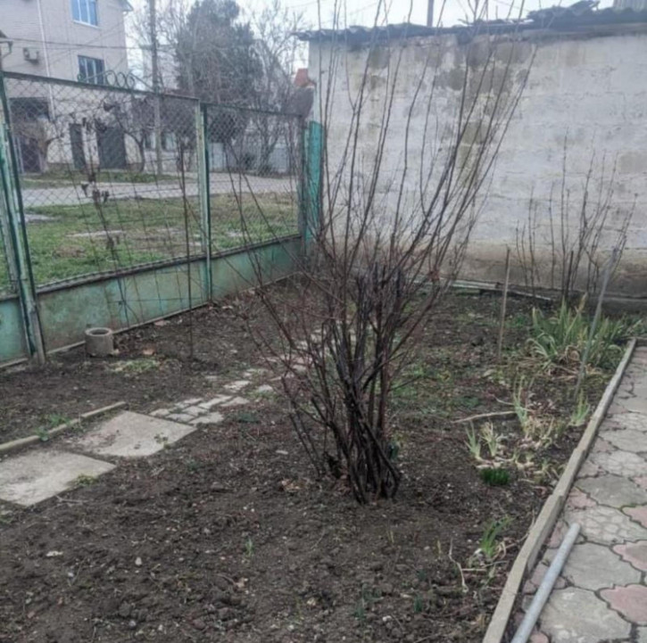 Земельный участок Центральный район Земельный участок Центральный район