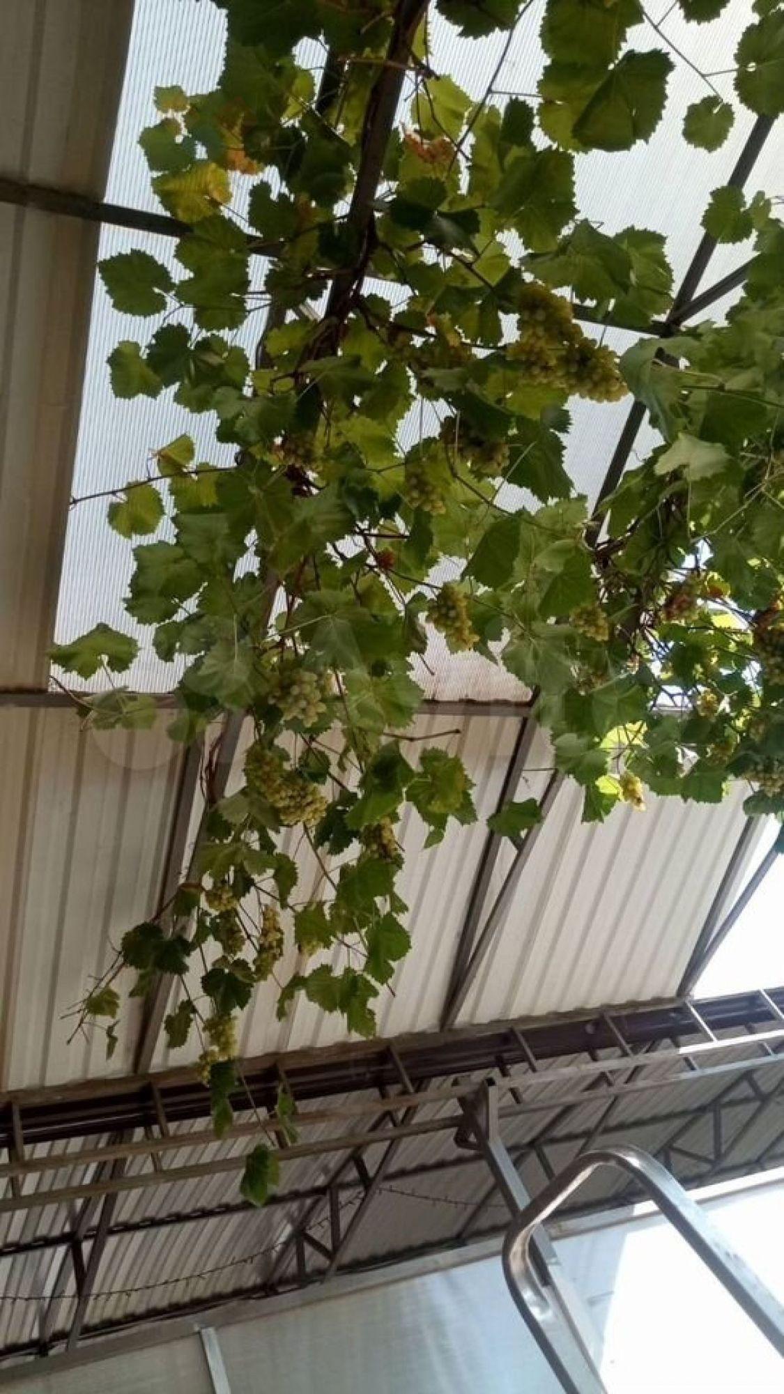 Купить дачу, дом, коттедж за 8 500 000 рублей на Западная ул, 3