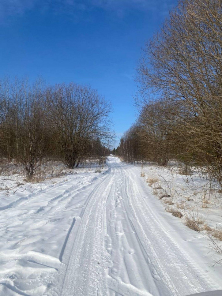 Земельный участок СНТ № 17 ОАО ГАЗ Родничок, -