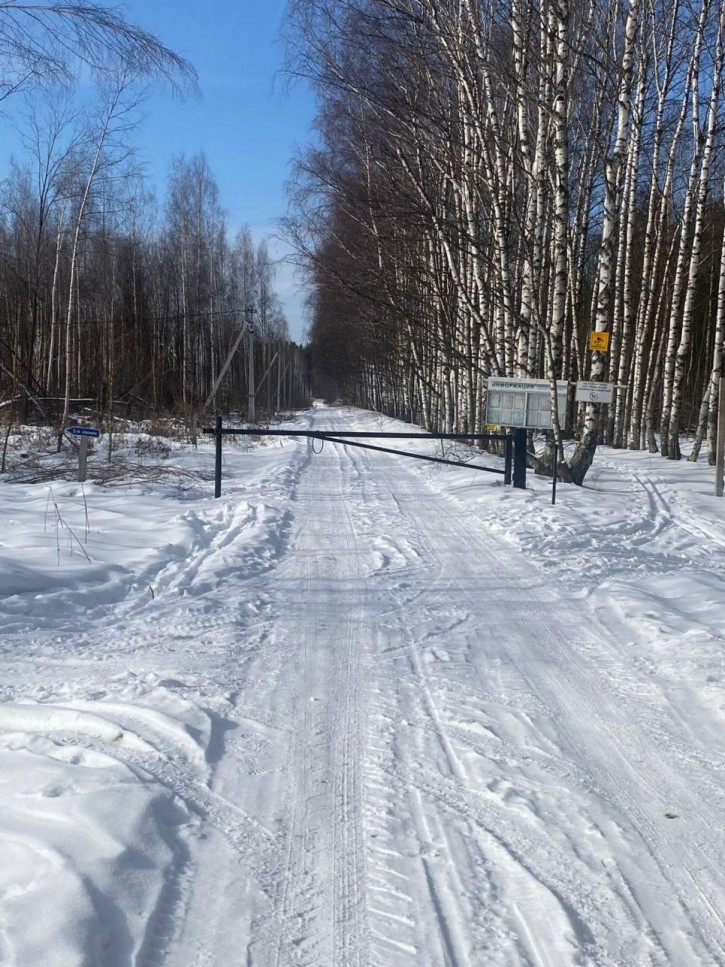 Земельный участок СНТ № 17 ОАО ГАЗ Родничок, -