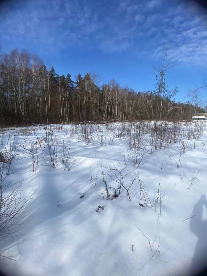 Земельный участок СНТ № 17 ОАО ГАЗ Родничок, -