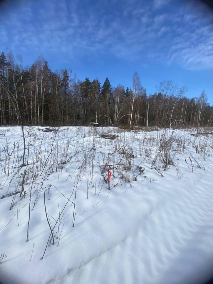 Земельный участок СНТ № 17 ОАО ГАЗ Родничок, -