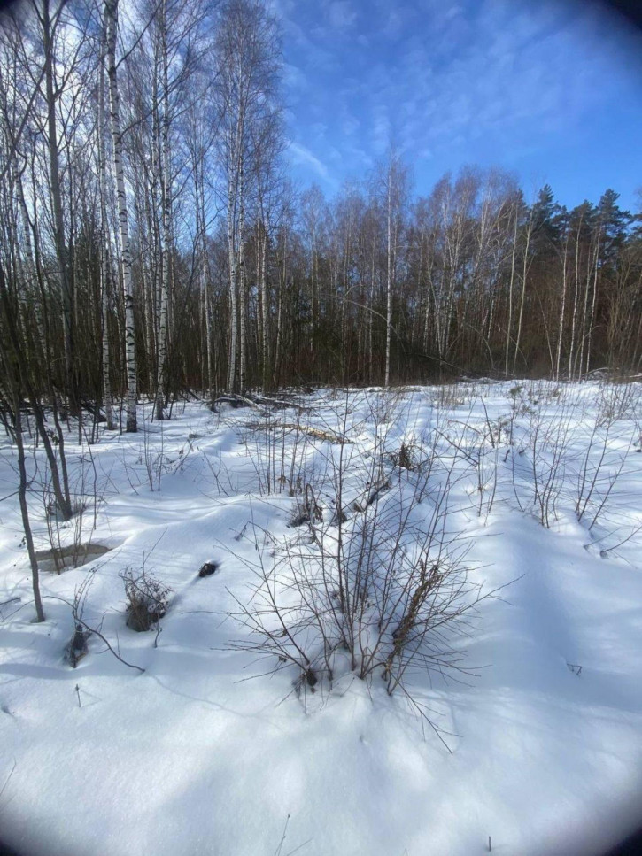 Земельный участок СНТ № 17 ОАО ГАЗ Родничок, -