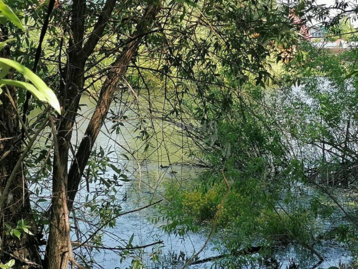 Коттедж/дом снт Дорожник