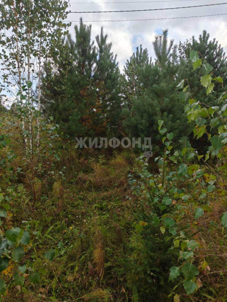 Земельный участок Вознесенская улица