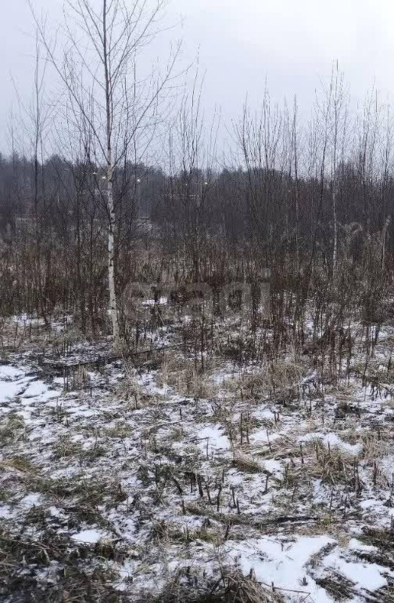 Купить землю, земельный участок за 1 090 000 рублей на посёлок Лесково, 1005