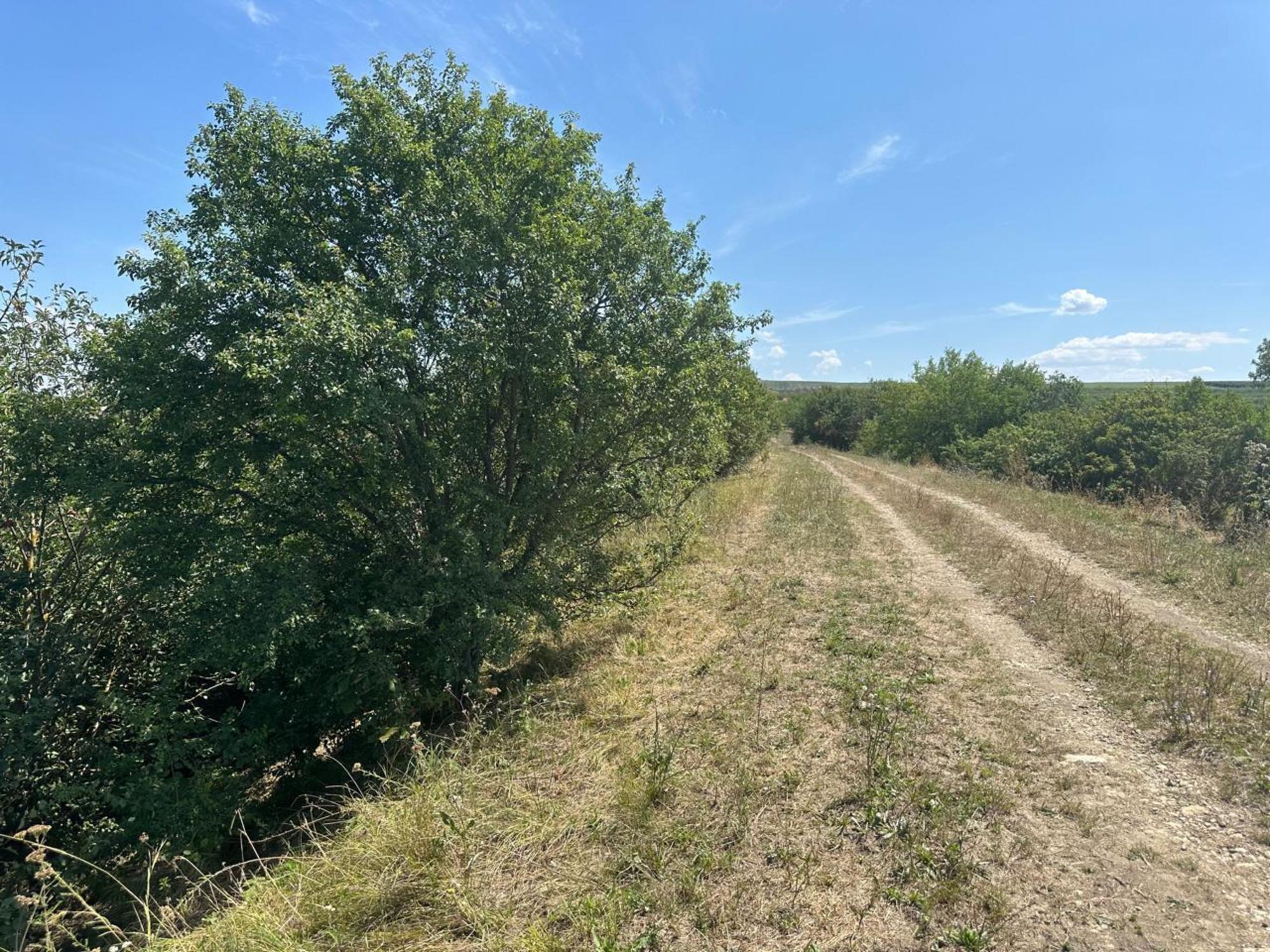 Купить землю, земельный участок за 2 500 000 рублей на посёлок Уташ