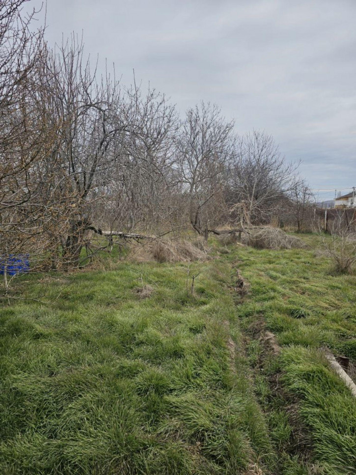 Коттедж/дом Садовая