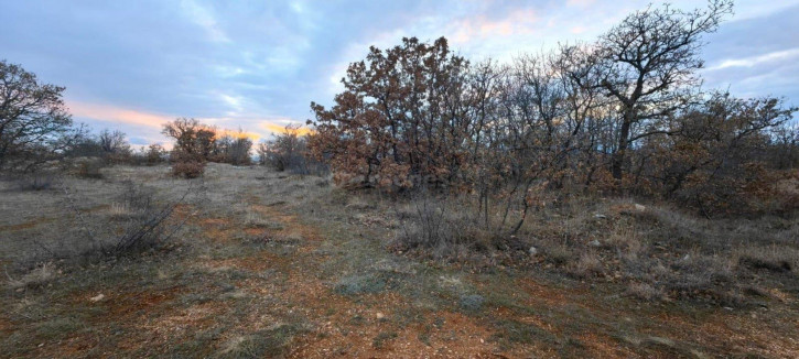 Земельный участок территория коттеджный посёлок Вилларис дель Мар Земельный участок территория коттеджный посёлок Вилларис дель Мар