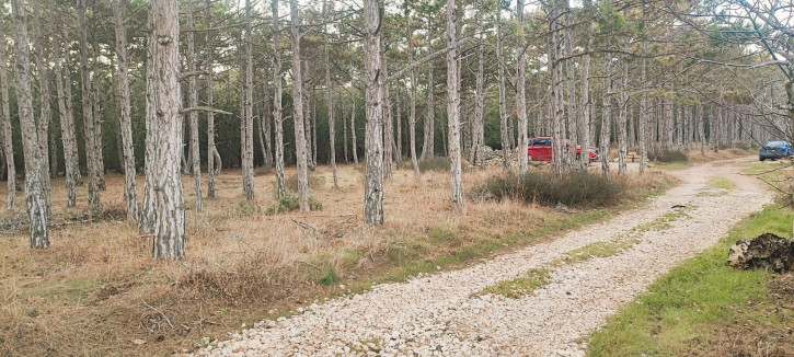 Земельный участок территория СТ Клеры-2 Земельный участок территория СТ Клеры-2