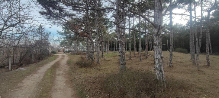 Земельный участок территория СТ Клеры-2 Земельный участок территория СТ Клеры-2