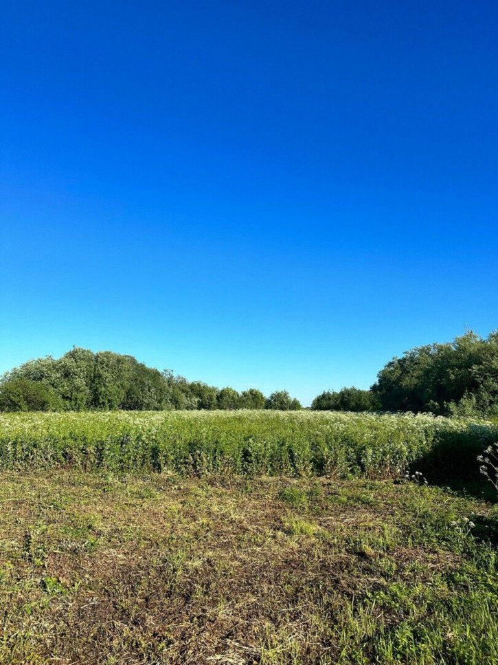 Земельный участок Малое Никольское тсн