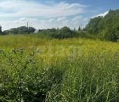 земля 9.8 сот деревня Шульгино, 251