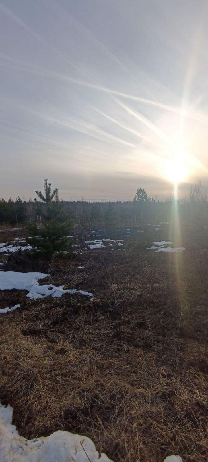 Земельный участок Родниковая ул, 5 Земельный участок Родниковая ул, 5