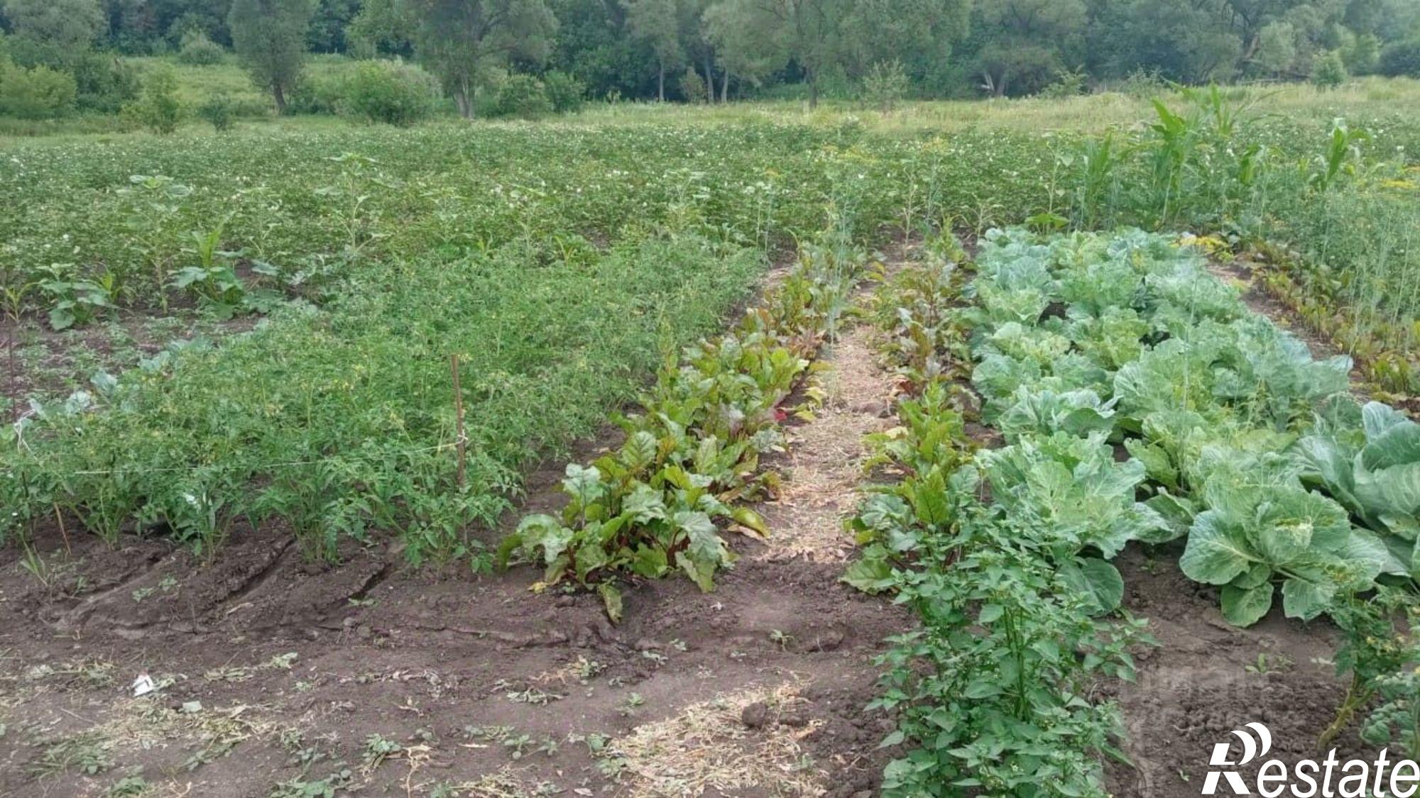 Купить дачу, дом, коттедж за 600 000 рублей на Ракитянский район, Солдатское сельское поселение, село Солдатское