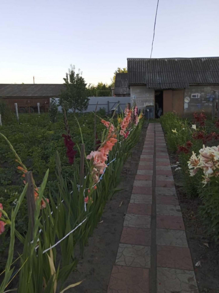 Коттедж/дом Дорожная улица, д.12 Коттедж/дом Дорожная улица, д.12