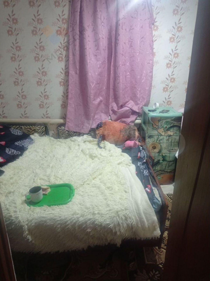 Коттедж/дом Октябрьская ул, 87/Б Коттедж/дом Октябрьская ул, 87/Б