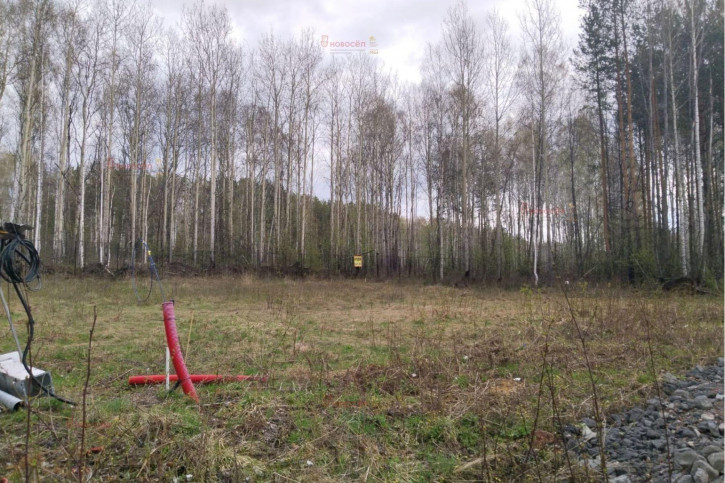 Земельный участок село Новоалексеевское