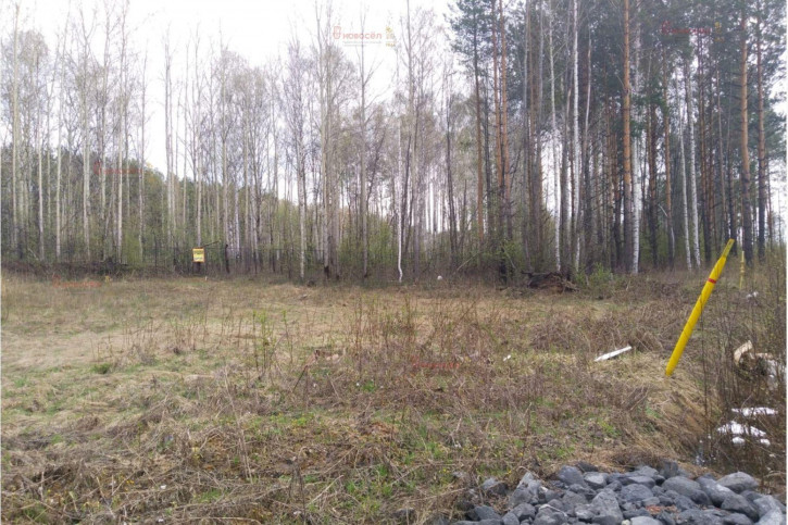 Земельный участок село Новоалексеевское