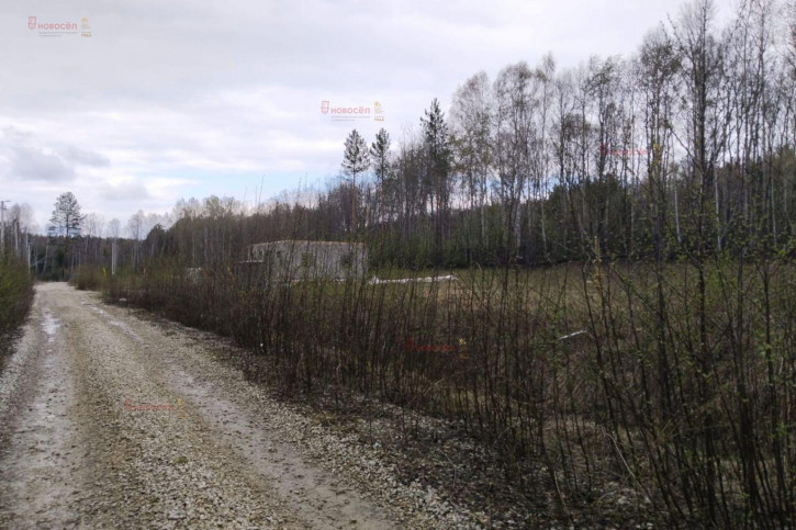 Земельный участок село Новоалексеевское