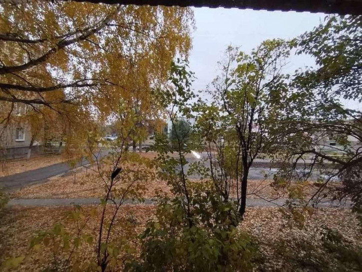 1-комн квартира Циолковского улица, 8 1-комн квартира Циолковского улица, 8