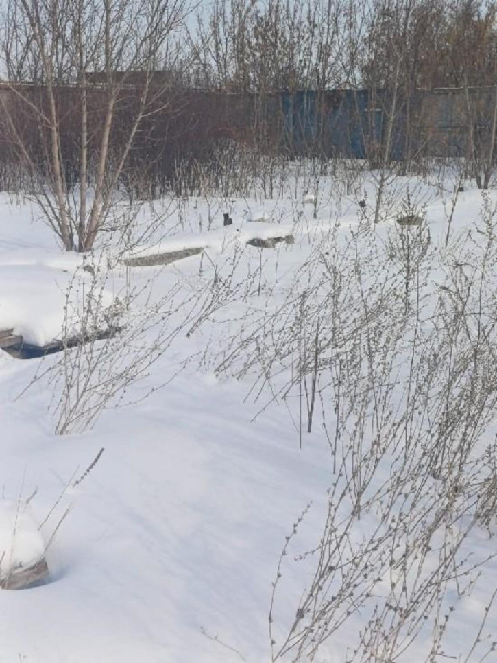 Земельный участок Октябрьская, 29