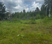 земля 17 сот Оринкино д земля 17 сот Оринкино д