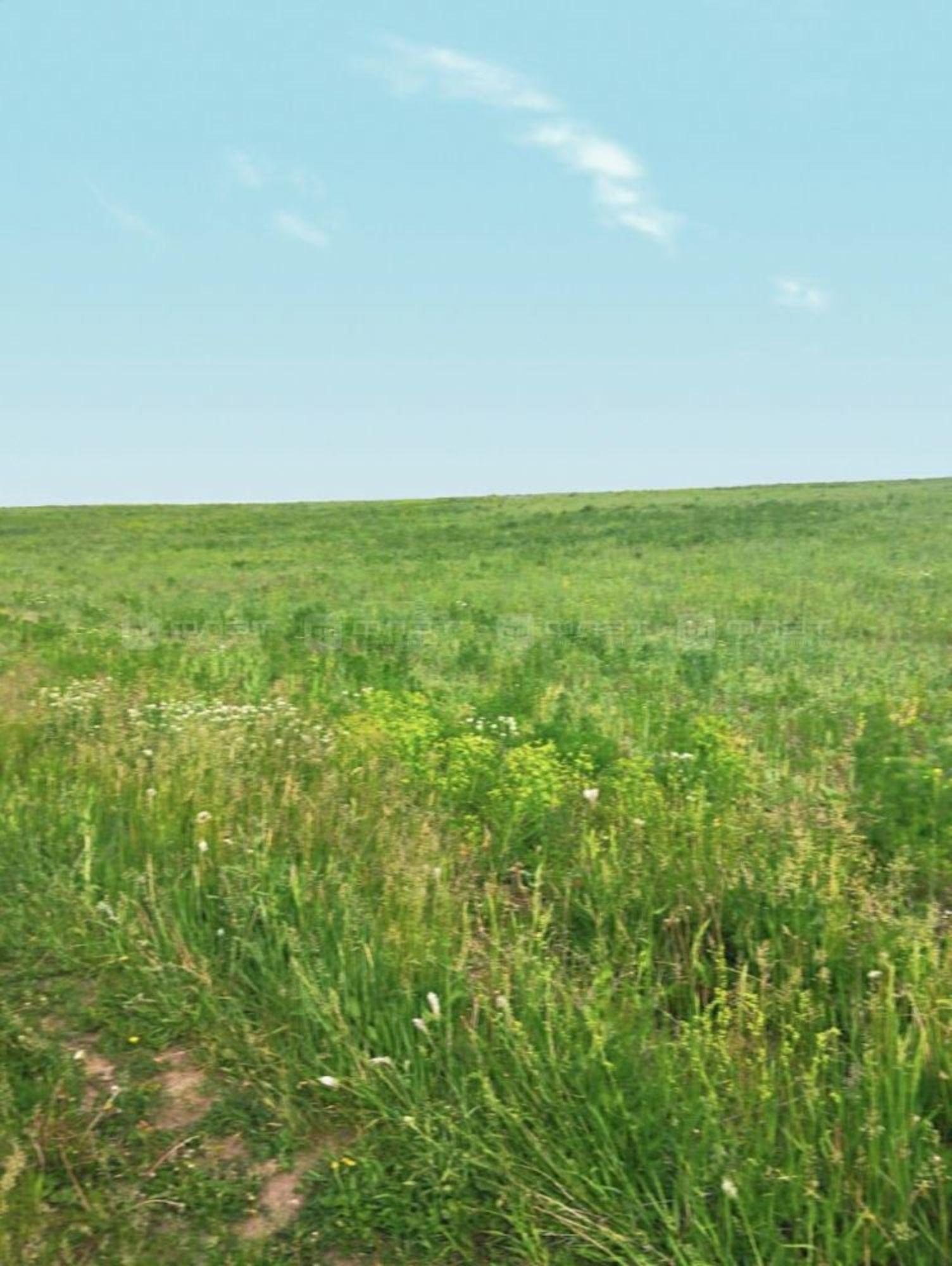 Купить землю, земельный участок за 2 000 000 рублей на дом 390