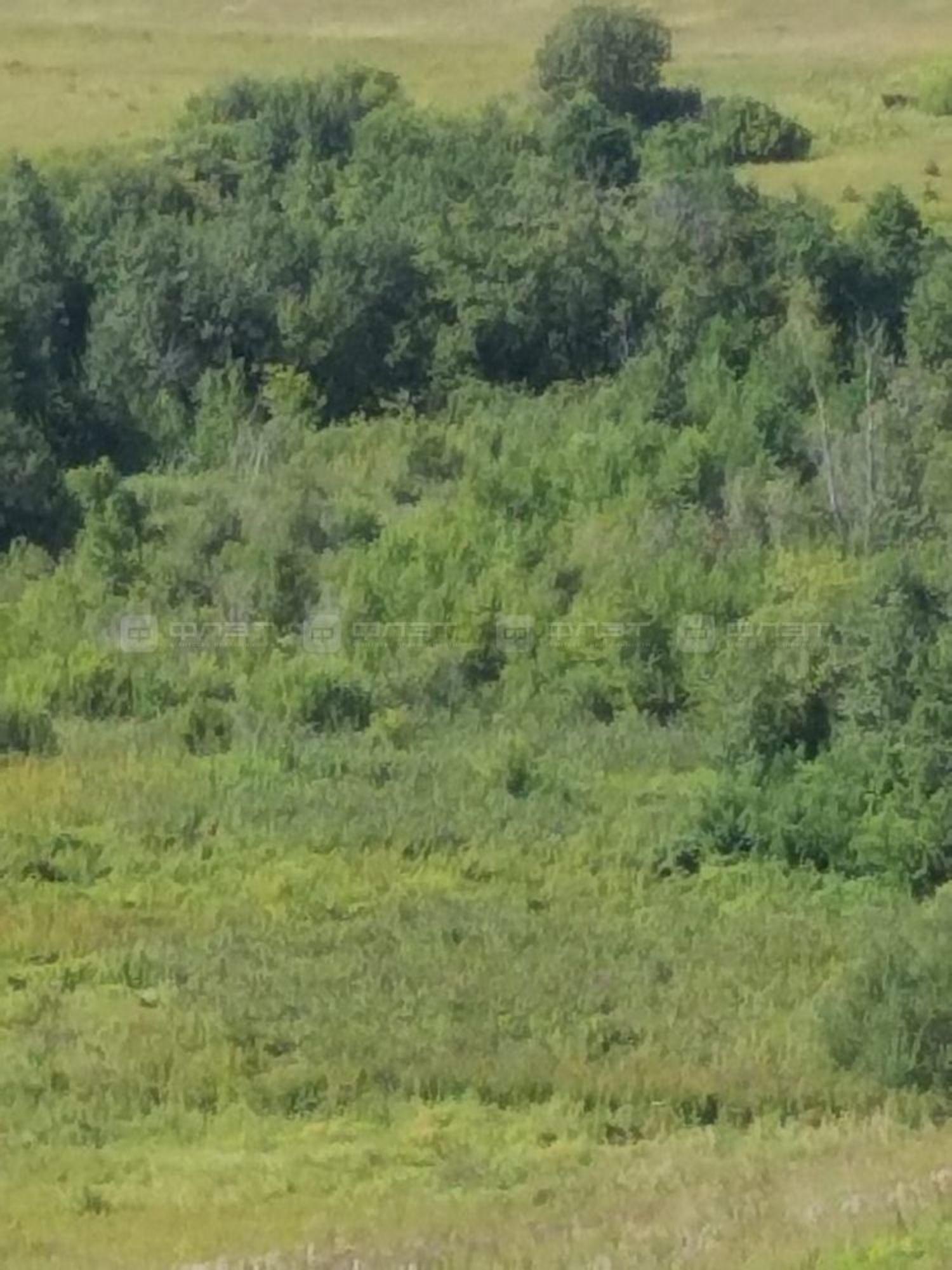 Купить землю, земельный участок за 300 000 рублей на дом 301