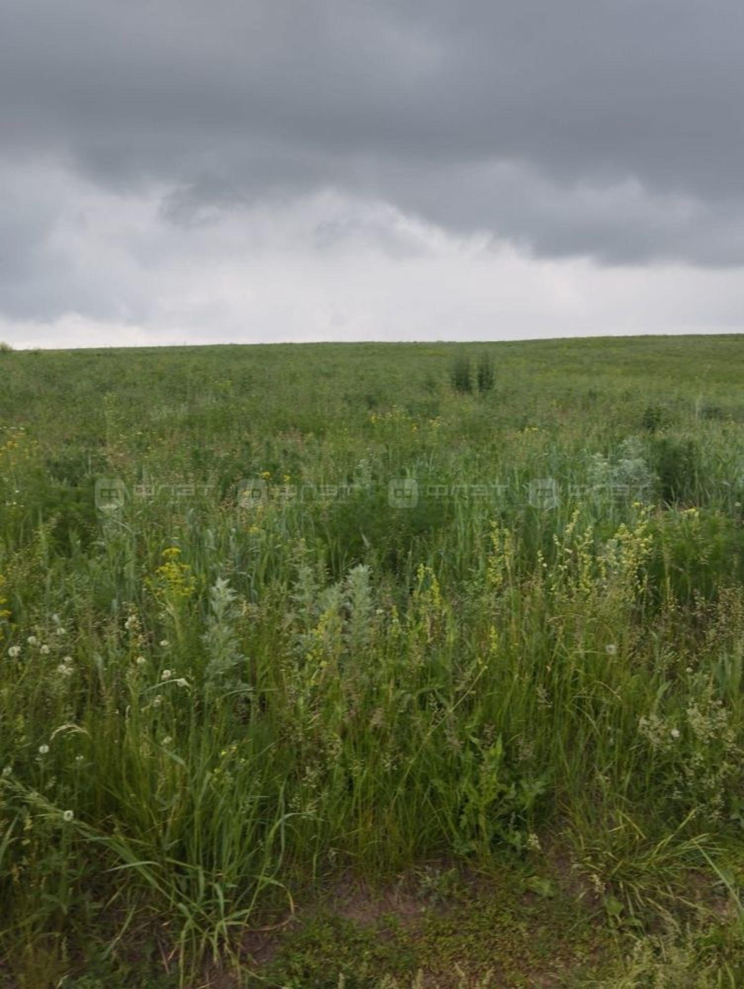 Купить землю, земельный участок за 2 000 000 рублей на дом 390