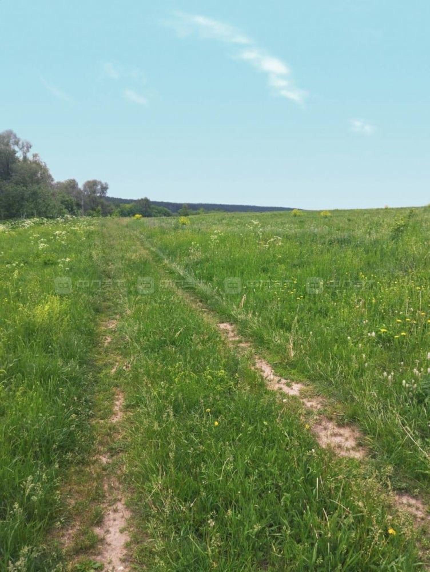 Купить землю, земельный участок за 2 000 000 рублей на дом 390