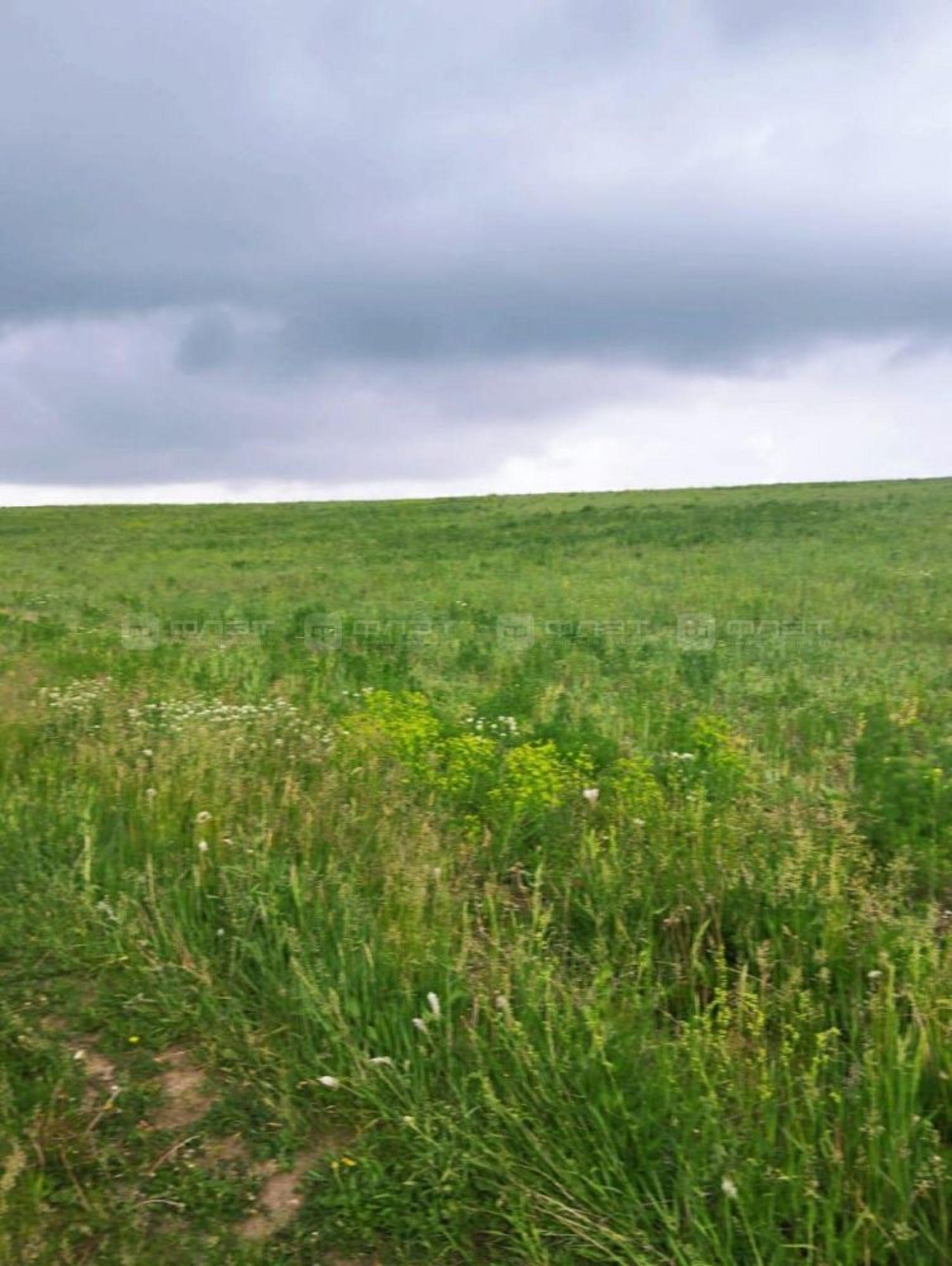 Купить землю, земельный участок за 2 000 000 рублей на дом 390