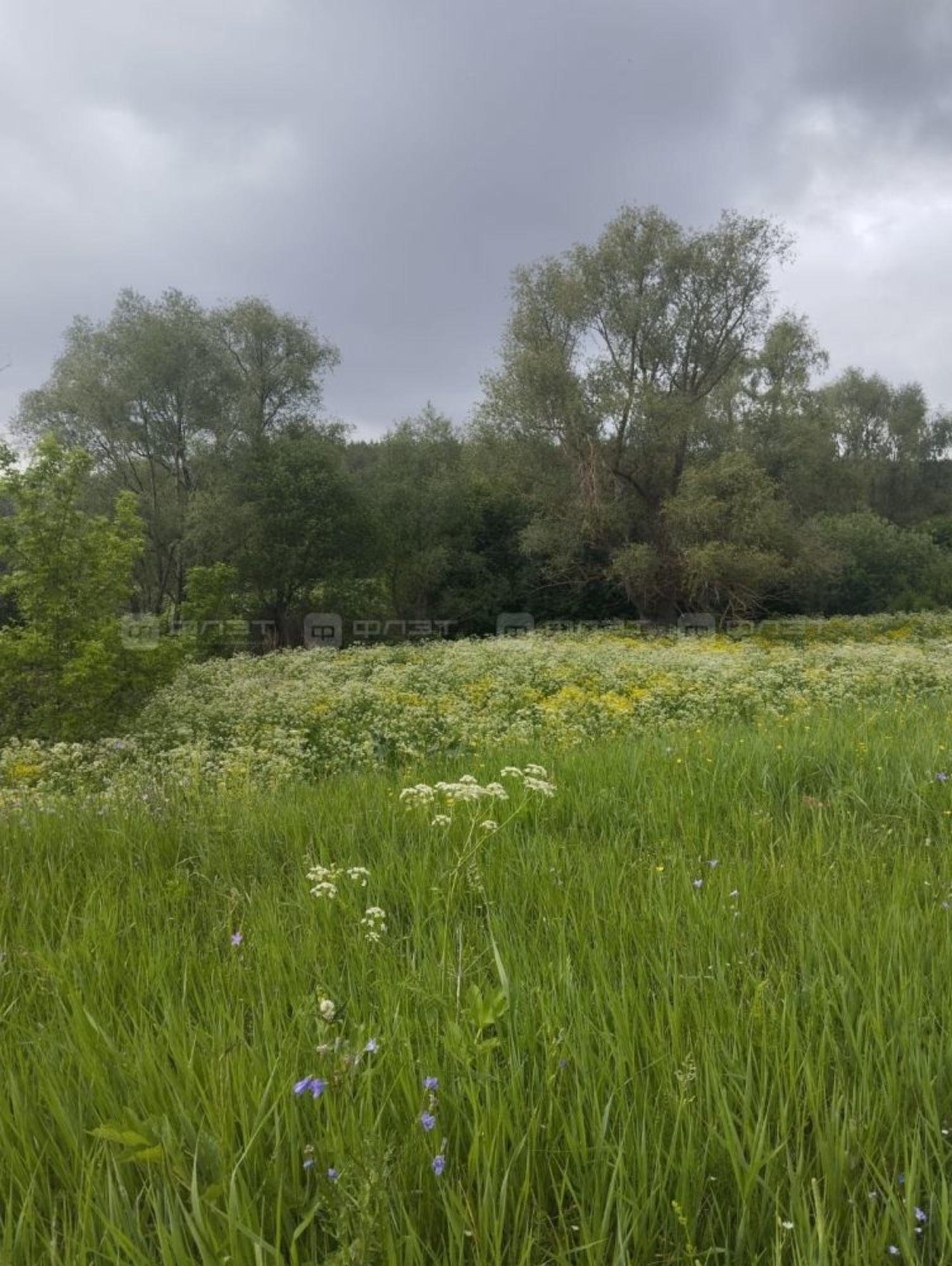 Купить землю, земельный участок за 2 000 000 рублей на дом 390