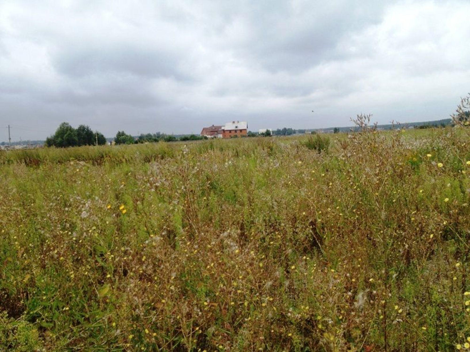 Купить землю, земельный участок за 500 000 рублей на Дальняя Садовая ул