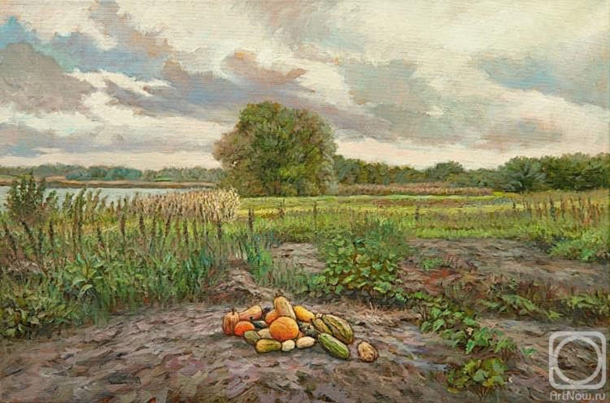 Купить землю, земельный участок за 500 000 рублей на Дальняя Садовая ул