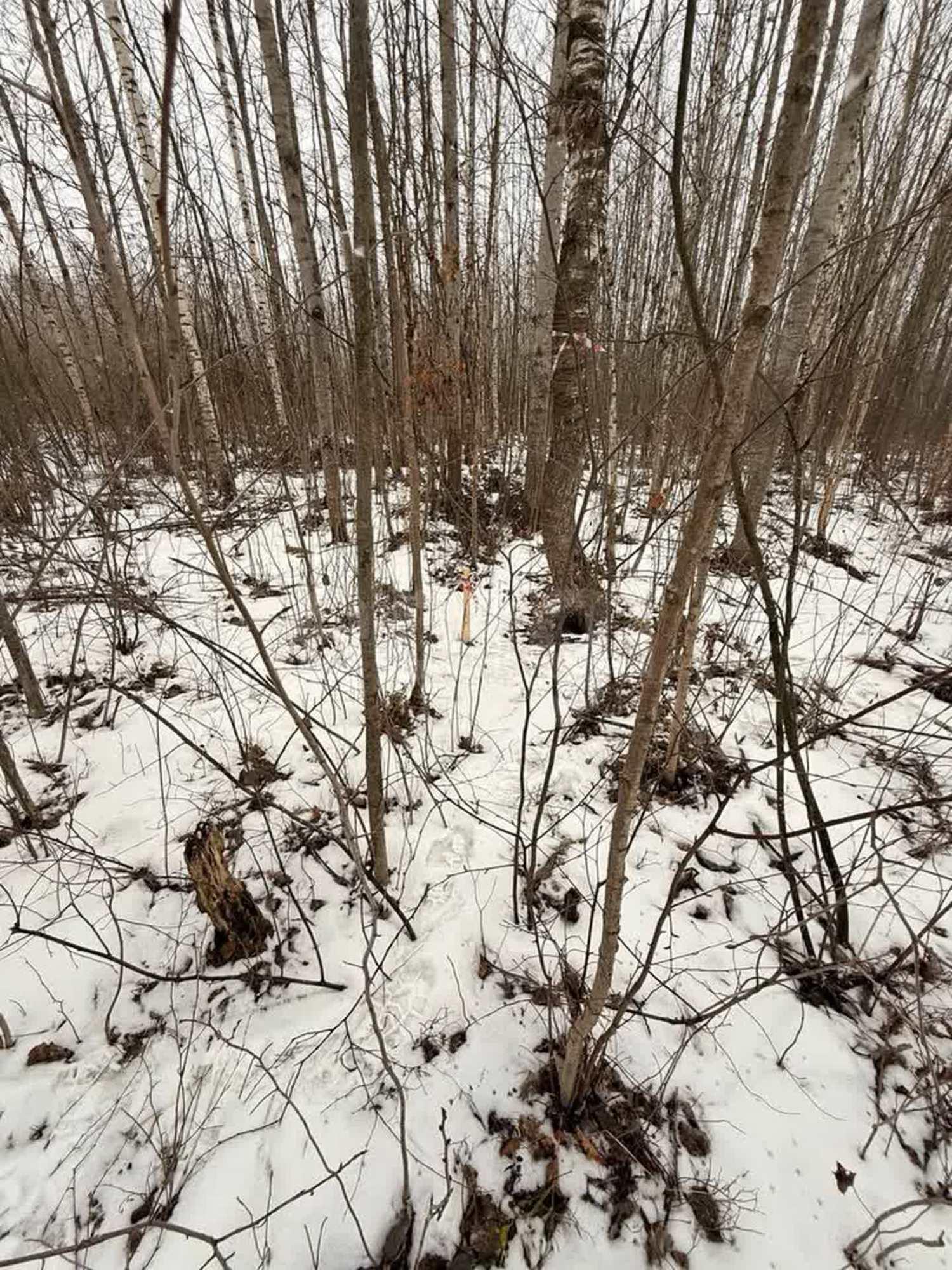 Купить землю, земельный участок за 400 000 рублей на Отрадная улица,