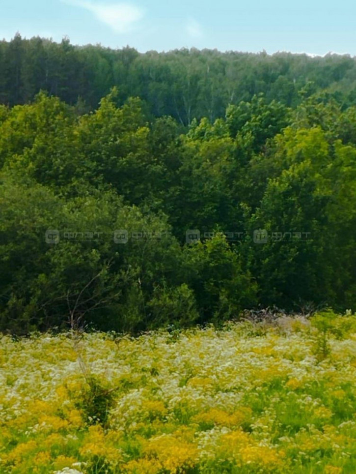 Земельный участок дом 390