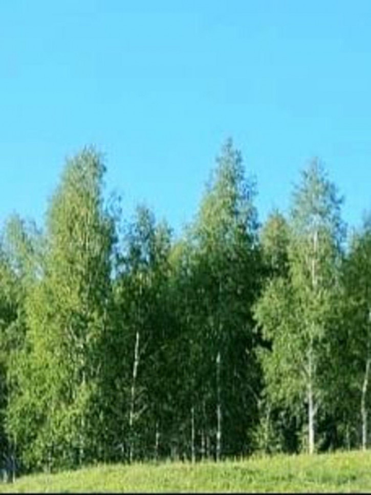 Земельный участок дом 301