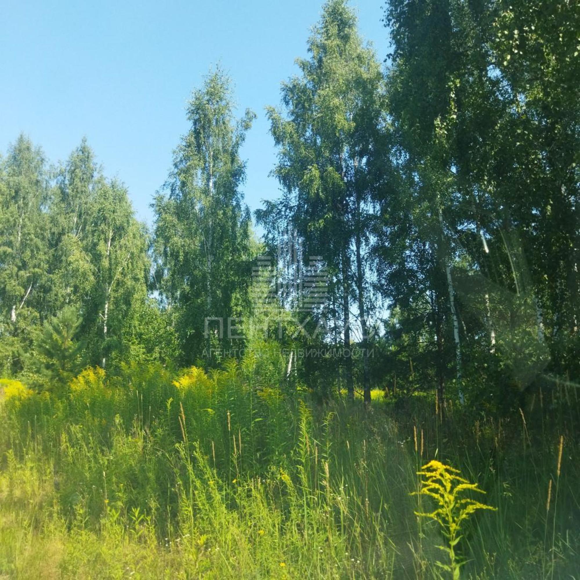 Купить землю, земельный участок за 450 000 рублей на 83 Купить землю, земельный участок за 450 000 рублей на 83