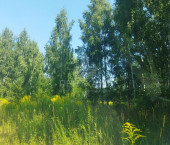 земля 10 сот 83 земля 10 сот 83